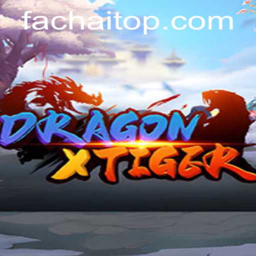 DragonXTiger: Unveiling the Thrills of Fachai